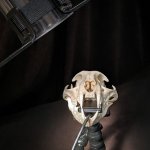 X-Ray PAL® Dental Radiography Positioning Model